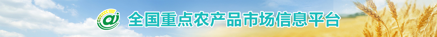 新澳彩