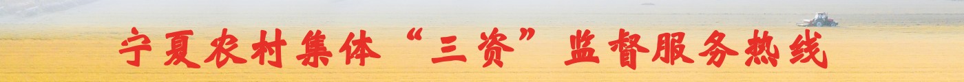 新澳彩