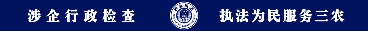 新澳彩