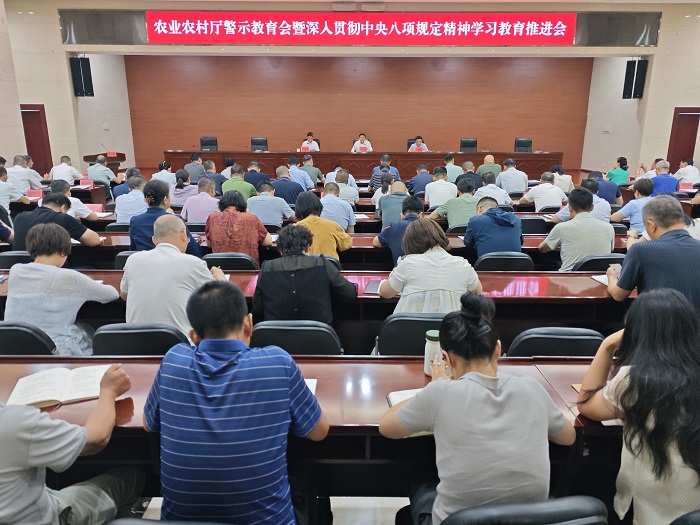 4173750.jpg 新澳彩