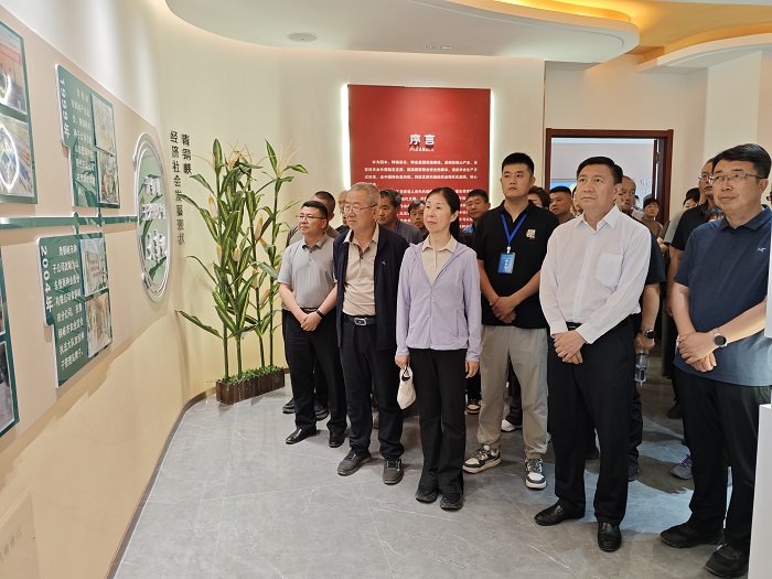 110108.jpg 新澳彩