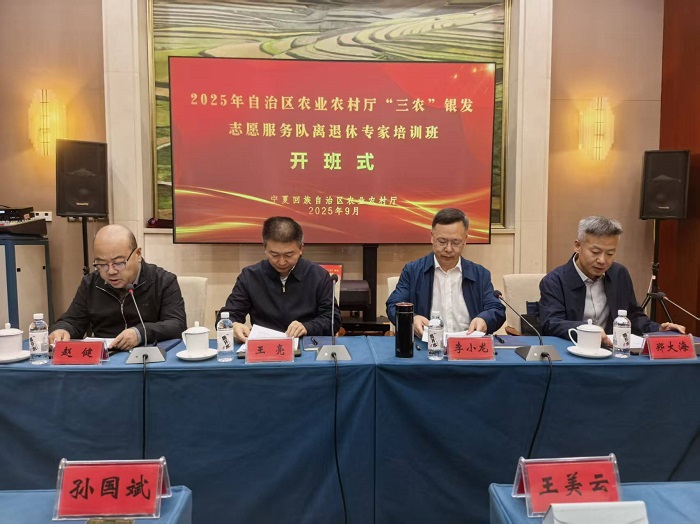 新澳彩